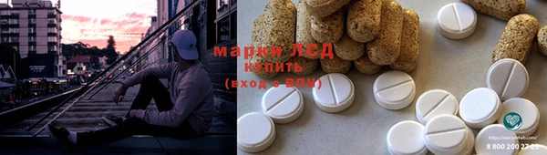 мяу мяу мука Аркадак