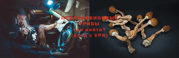 мяу мяу мука Аркадак