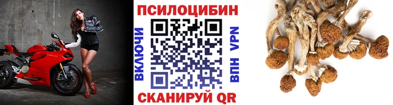 где купить наркоту  Аткарск  Галлюциногенные грибы мухоморы 